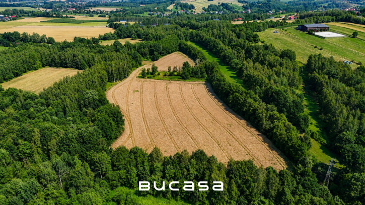 Działka Sprzedaż Ochmanów 4
