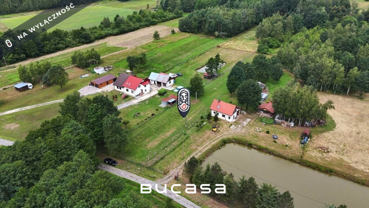 Działka Sprzedaż Dąbrówka 1